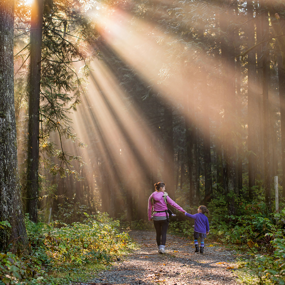 A person and a child walk hand in hand on a forest path with sunlight streaming through the trees.